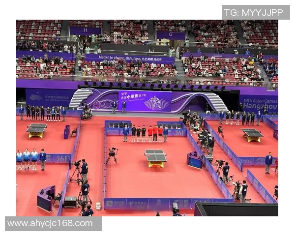 杭州乒乓球队精英赛背后的拼搏故事与荣耀之路