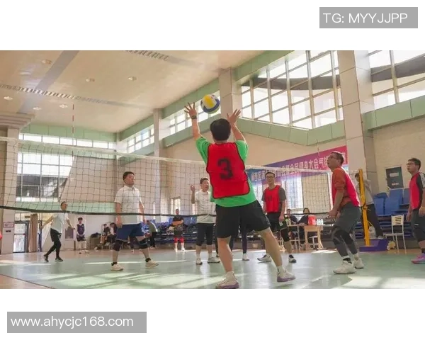 杭州排球队区域防守策略解析助力排球竞技水平提升