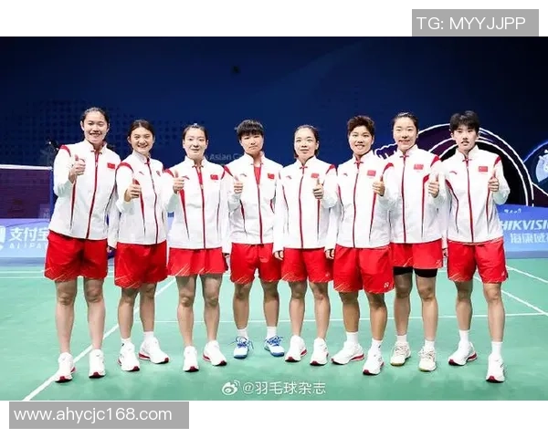 杭州羽毛球队个人能力分析与发展策略探讨 杭州羽毛球队个人能力分析与发展策略探讨