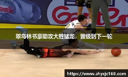 翠鸟林书豪助攻大胜猛龙，晋级到下一轮