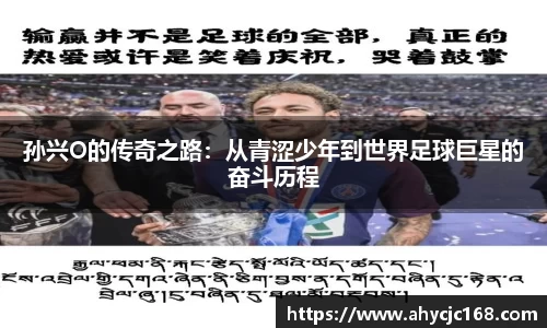 南宫NG28