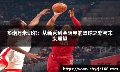 多诺万米切尔：从新秀到全明星的篮球之路与未来展望